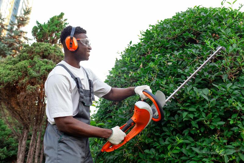 An image of Tree Trimming/Pruning Services in Santa Cruz CA